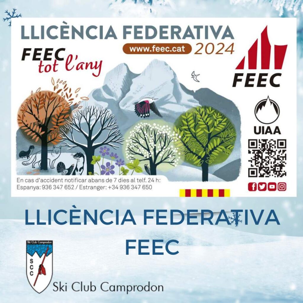 Llicència federativa FEEC: renova